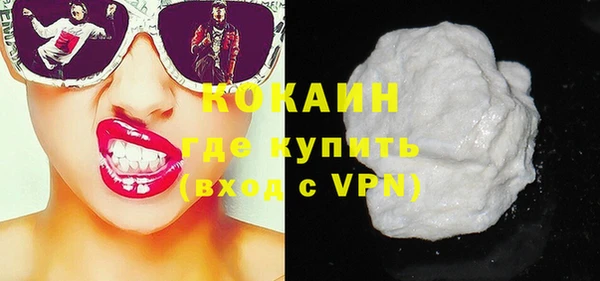 стаф Алзамай