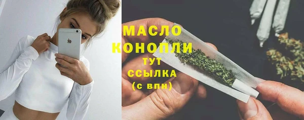 твердый Михайлов