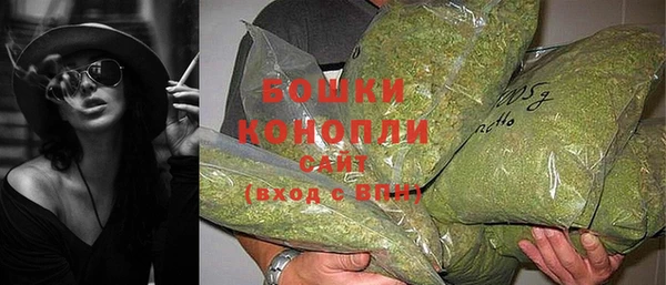 твердый Михайлов