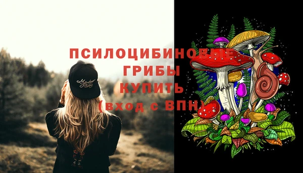 стаф Алзамай