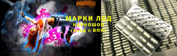 стаф Алзамай