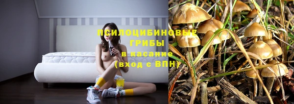 твердый Михайлов